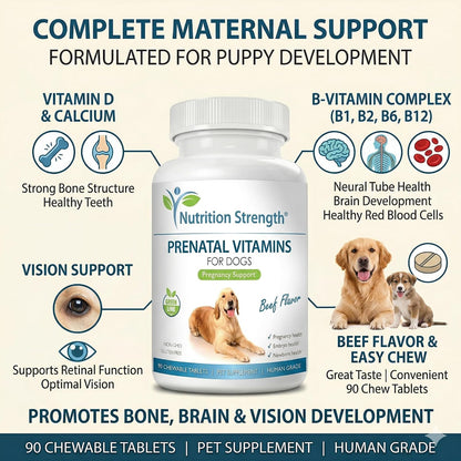 Prenatal Vitamins for Dogs – 90 Chewable Tablets | Nutrition Strength