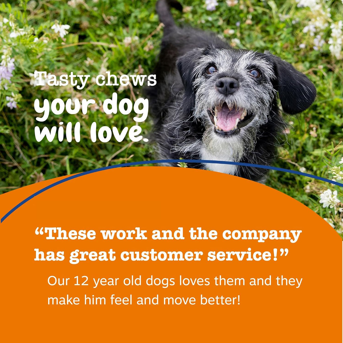 Zesty Paws Senior Dog Multivitamin Chews, Chicken Flavour, 90 Chews - görsel 7