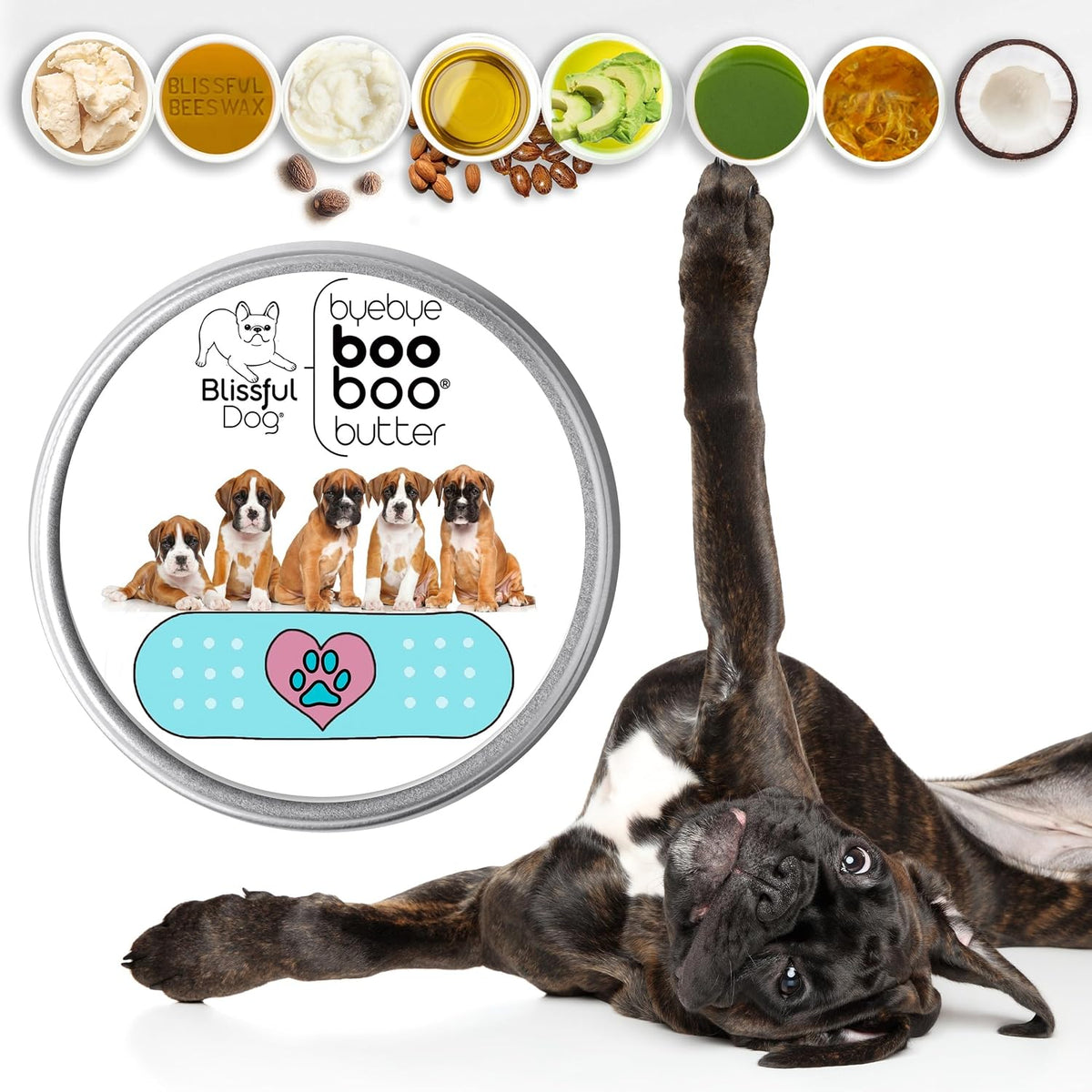 The Blissful Dog Boxer Booboo Butter - 4 oz Tin - görsel 2