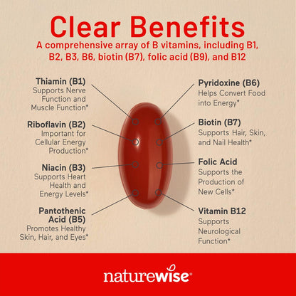 NatureWise Vitamin B Complex with Folic Acid, Biotin, B1, B2, B3, B6, B12 - 360 Softgels (1-Year Supply)