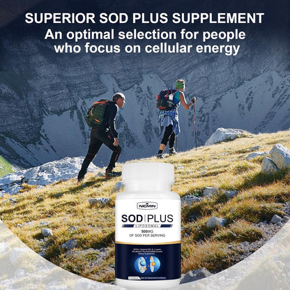 NICMIN SOD Plus 500 mg - Liposomal Superoxide Dismutase with Glutathione, AKG, Green Tea Extract, L-Arginine, Lysine, Resveratrol & Vitamin E - Antioxidant Supplement, 120 Capsules