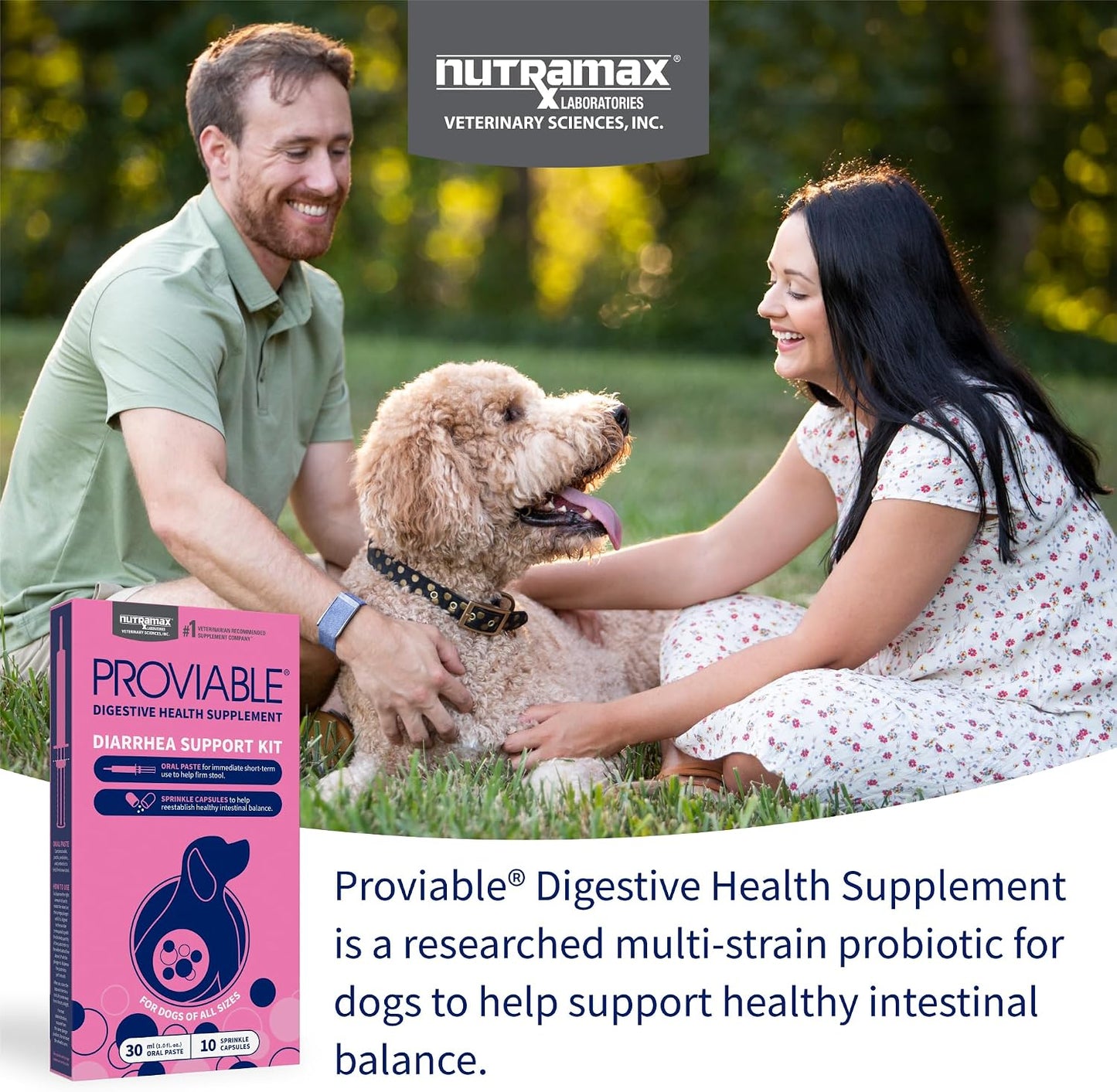 Nutramax Proviable Probiotics for Dogs – Diarrhoea Support Kit with Paste and Capsules - görsel 3