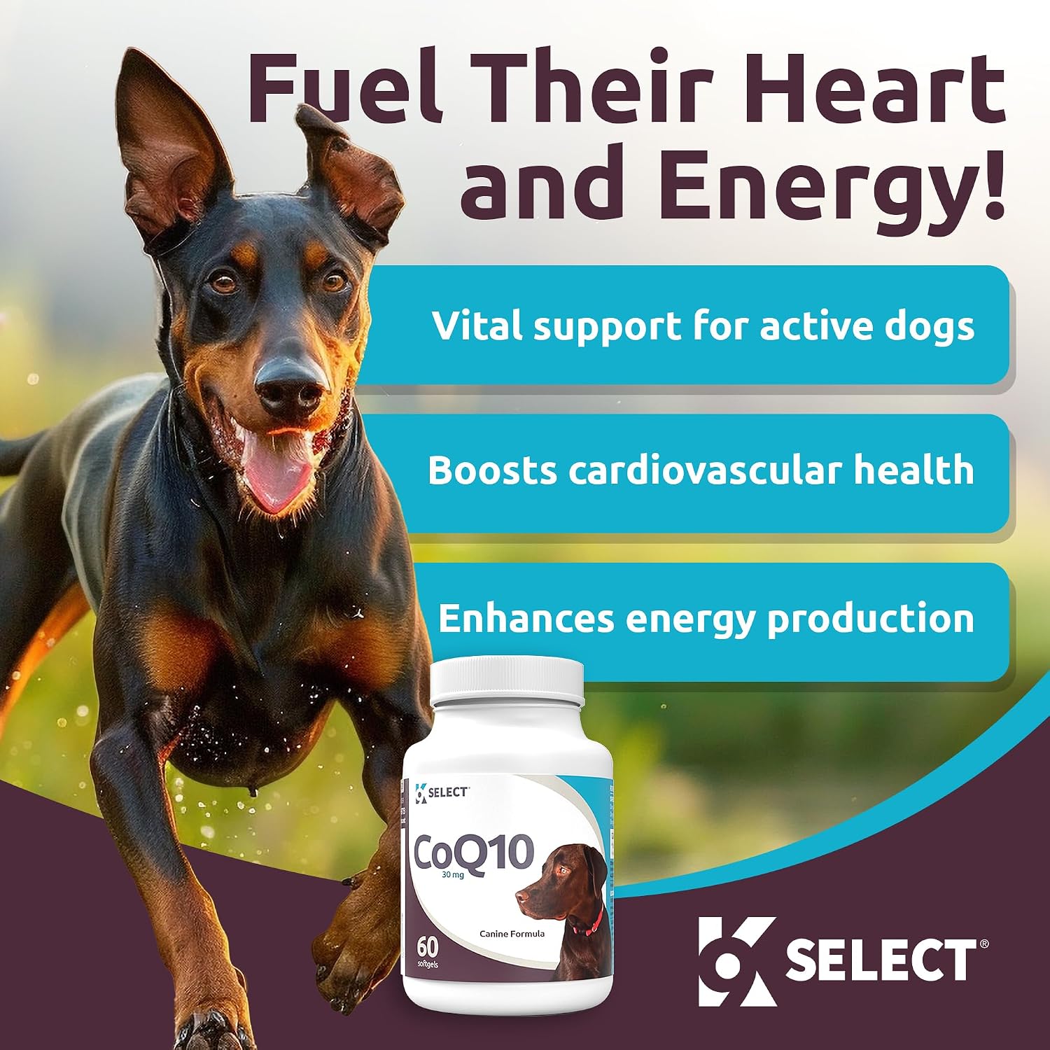 K9 Select CoQ10 Supplement for Dogs, 30mg – 90 Softgels - görsel 2