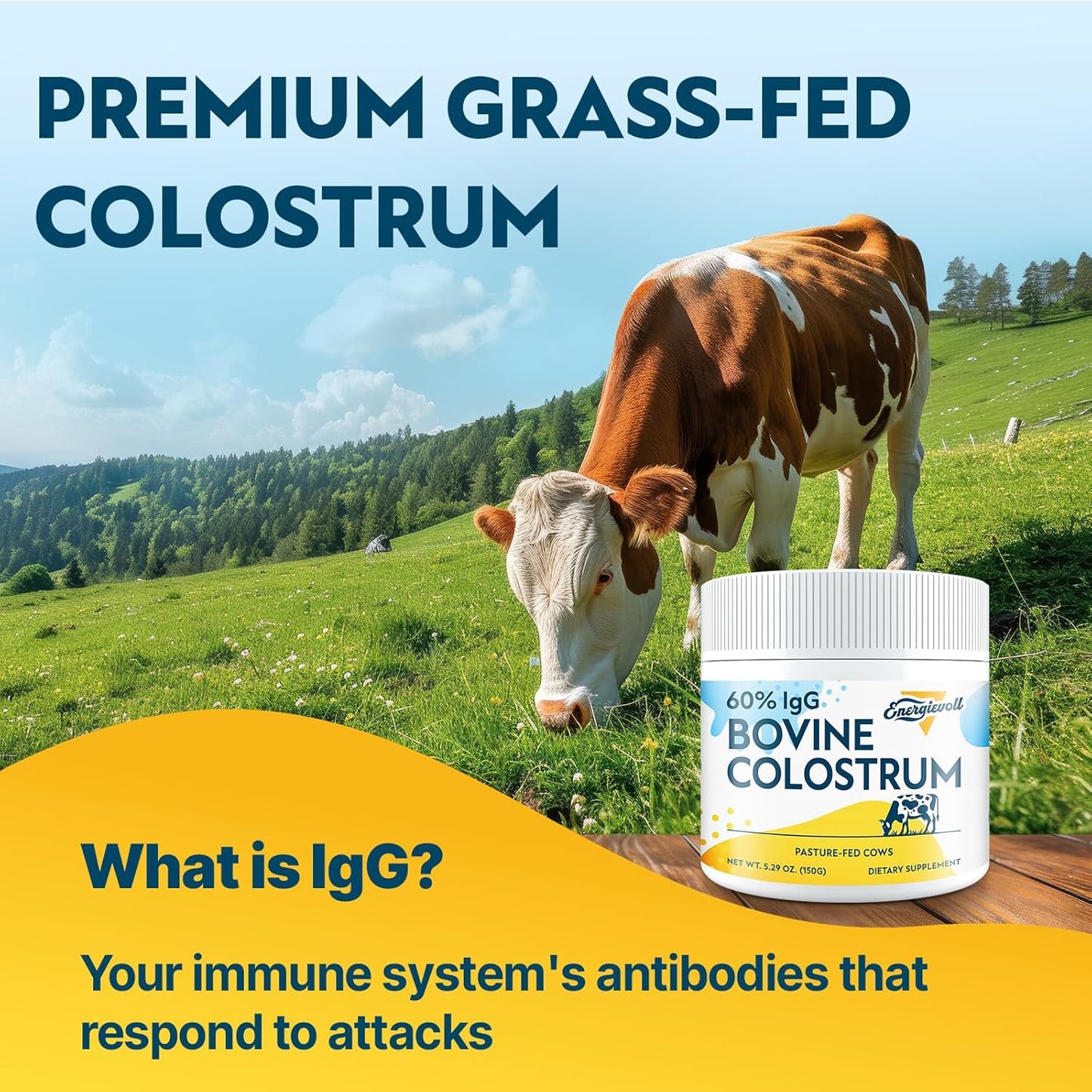 Energievoll Bovine Colostrum Food Supplement Powder - 60% IgG 3000 mg, Grass-Fed, Unflavoured (50 Servings) - görsel 4