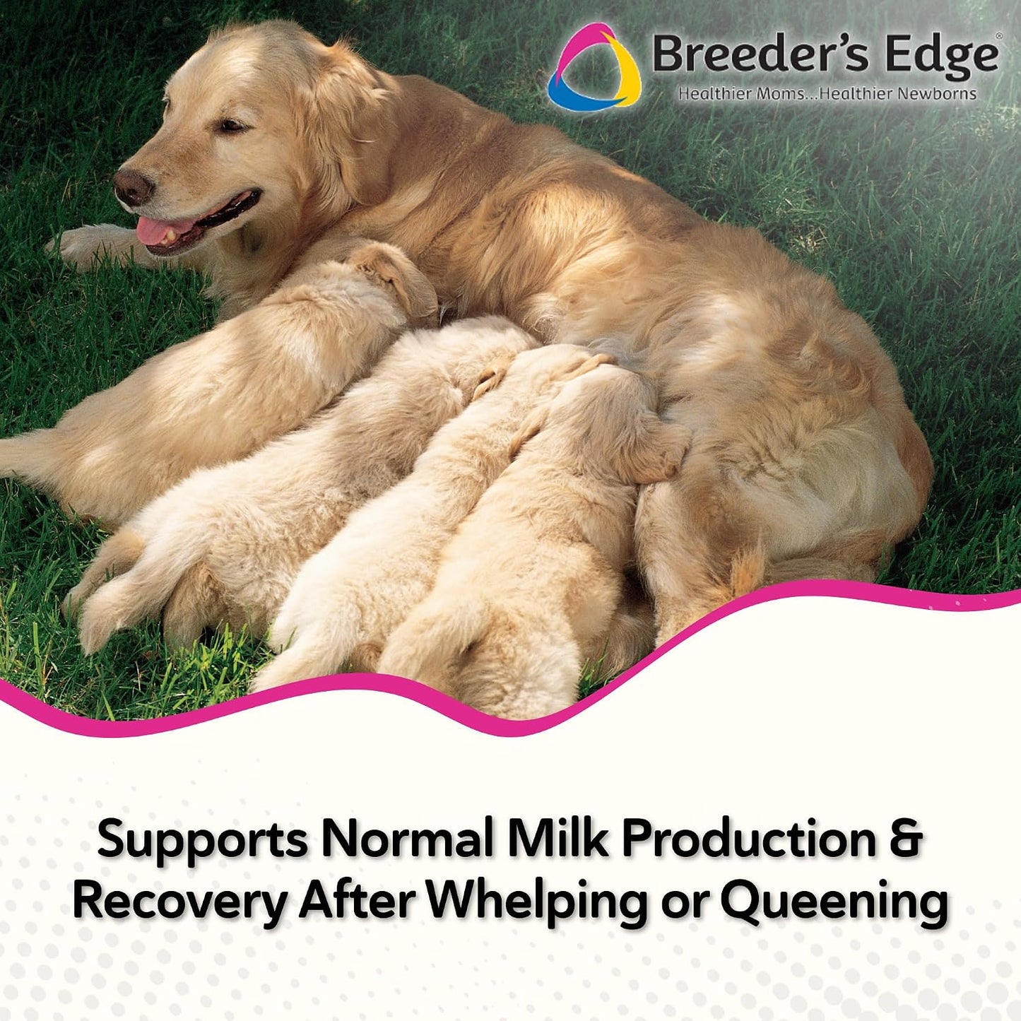 Breeder's Edge Oxy Momma Soft Chews, Postnatal Vitamin Supplement for Lactating Dogs and Cats, Supports Recovery, Hormones, and Next Pregnancy - for Medium & Large Dogs, 40ct Soft Chews - görsel 5