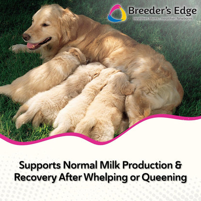Breeder's Edge Oxy Momma Soft Chews - Postnatal Supplement for Dogs & Cats, 40 Count
