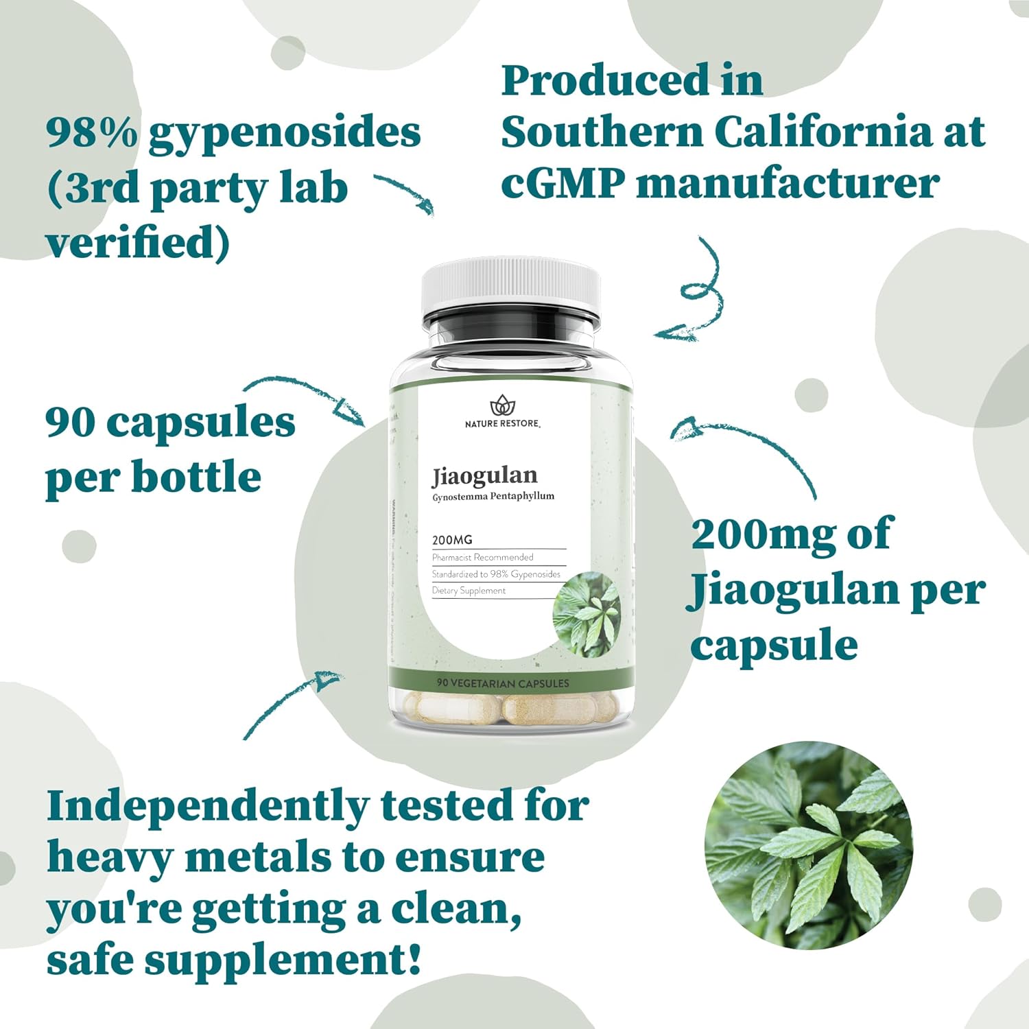 Jiaogulan Extract Supplement – 98% Gypenosides, Natural AMPK Activator, 90 Vegan Capsules - görsel 3