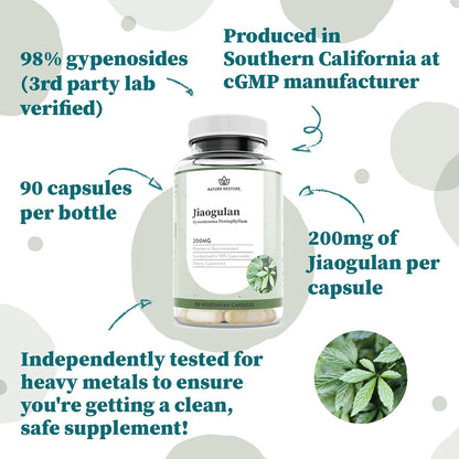 Jiaogulan Extract Supplement – 98% Gypenosides, Natural AMPK Activator, 90 Vegan Capsules