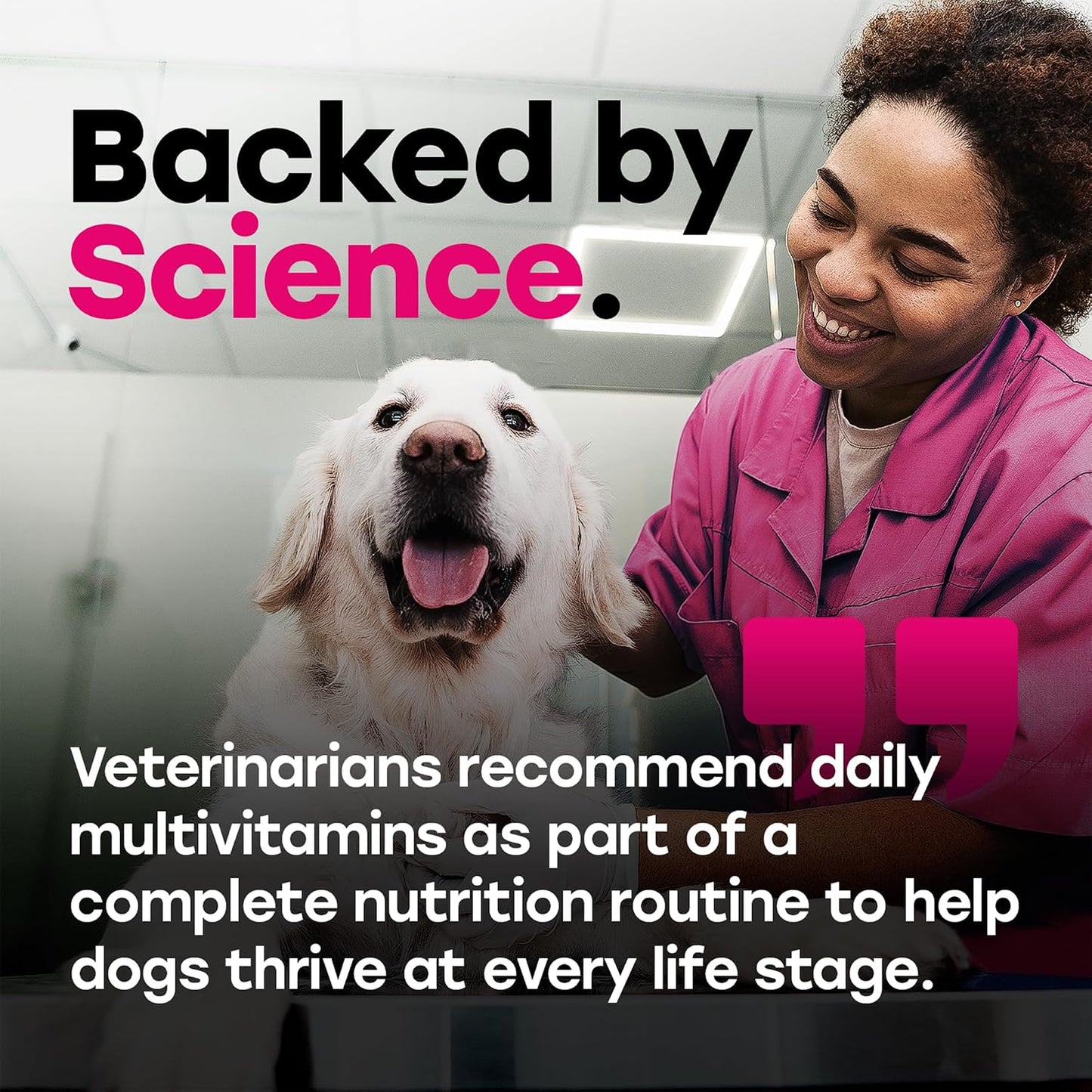 24-in-1 Dog Multivitamin Chews – Dog Vitamins & Supplements with Glucosamine, Chondroitin, Probiotics, Salmon Oil, Biotin – Daily Mobility, Digestion, Skin & Coat Support, Beef Flavour | 24-in-1 daily dog multivitamin, beef flavour, 140 soft chews - görsel 7
