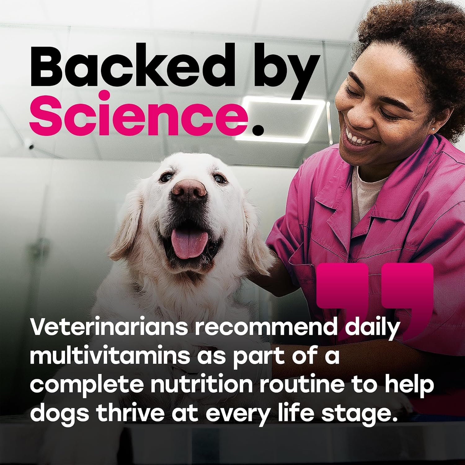 24-in-1 Dog Multivitamin Chews – Dog Vitamins & Supplements with Glucosamine, Chondroitin, Probiotics, Salmon Oil, Biotin – Daily Mobility, Digestion, Skin & Coat Support, Beef Flavour | 24-in-1 daily dog multivitamin, beef flavour, 140 soft chews - görsel 7