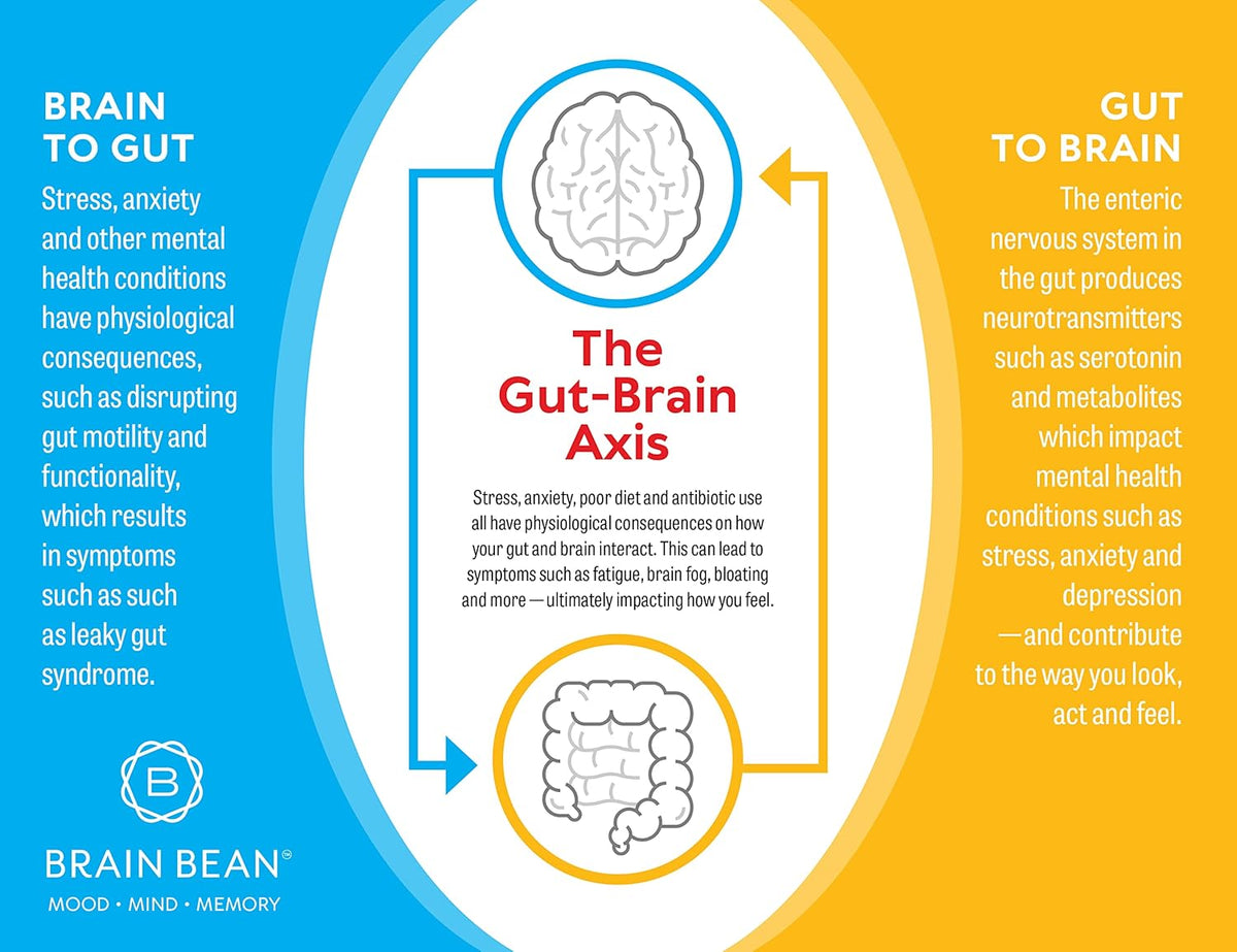 Brain Basics Ultra Pure IgG Supplement - Dairy-Free IgG Powder, 150g (60 Servings) - görsel 4