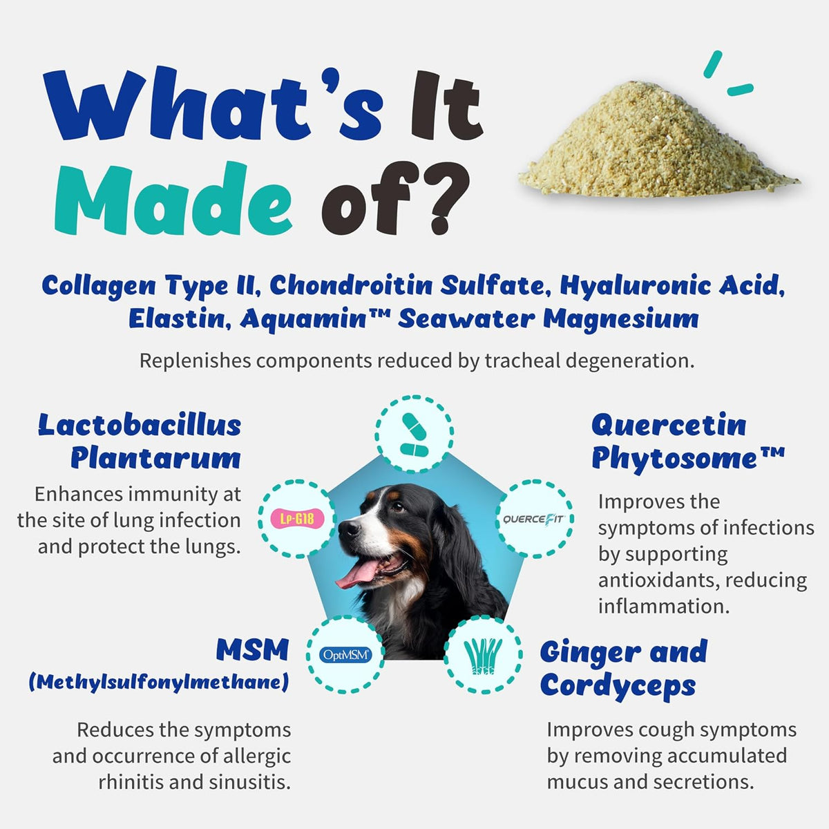 Branvine Respiratory Guardian for Dogs - Supports Lung, Nasal, Bronchial & Tracheal Health (135g) - görsel 2