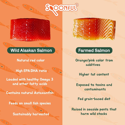 Spoonful Salmon Squeeze – Wild-Caught Alaskan Salmon Oil Soft gel capsules for Dogs and Cats, 60 Soft gel capsules