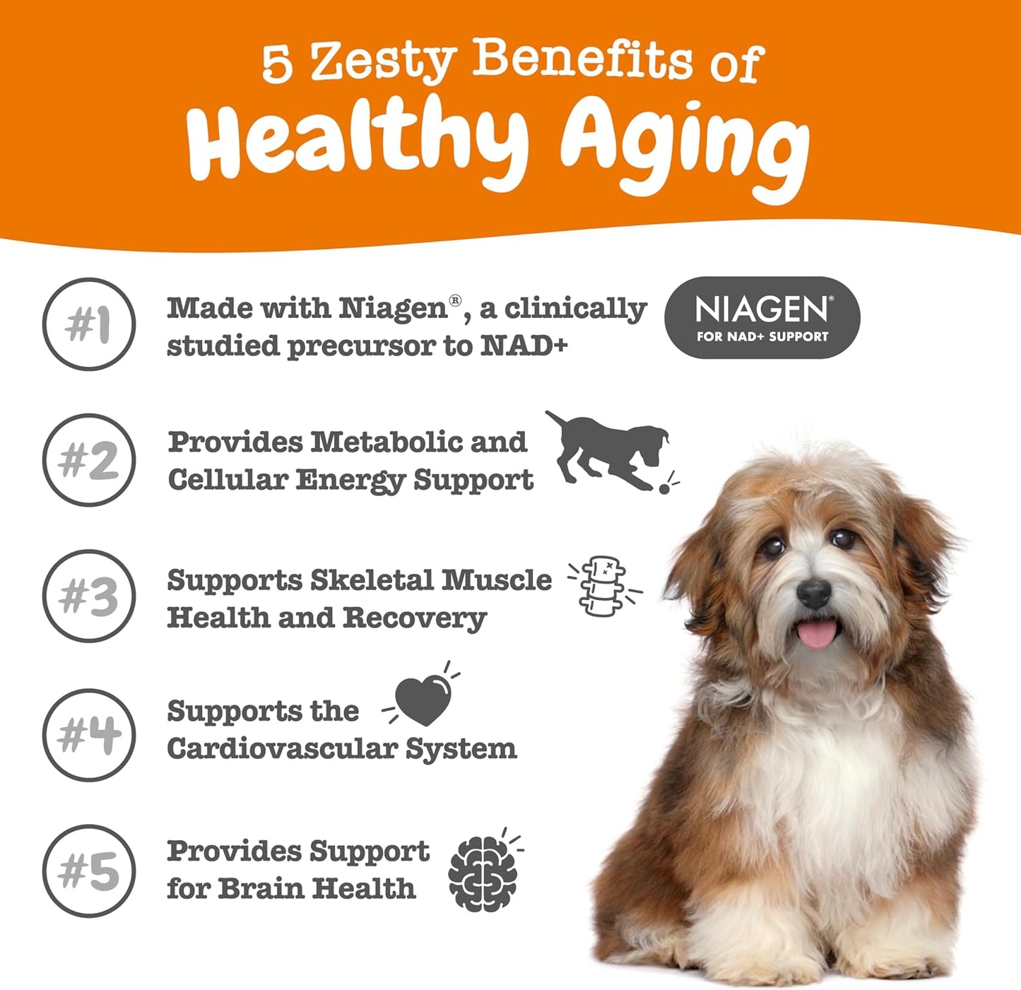 Zesty Paws NAD+ Precursor Supplement for Dogs - with Niagen - 60 Capsules - görsel 2
