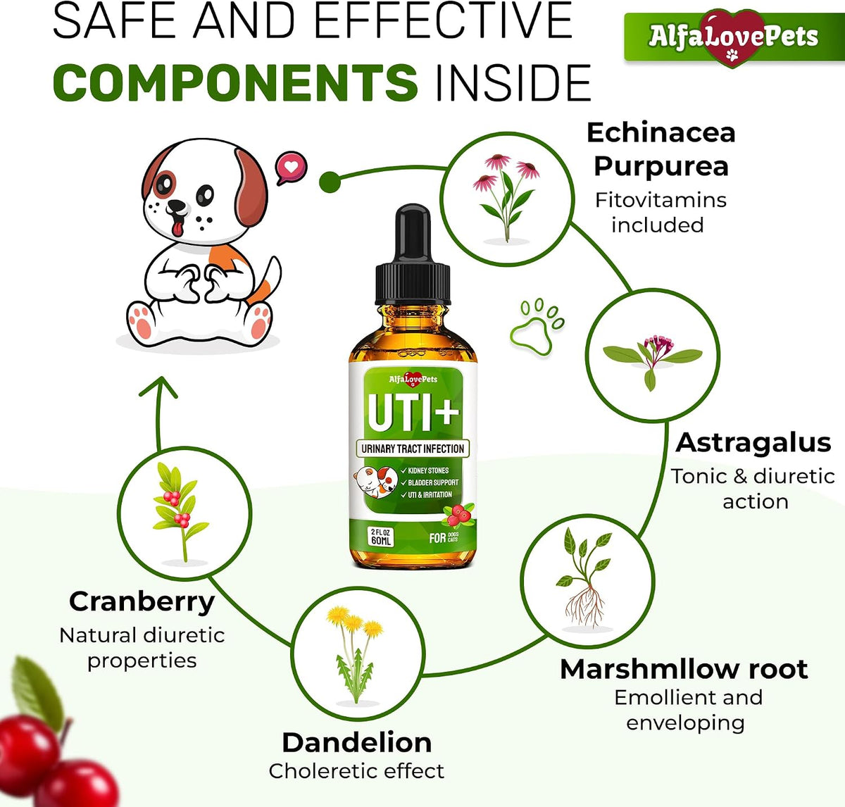 Alfa Love Pets Urinary Tract Support for Cats and Dogs - Cranberry Supplement - 2 oz - görsel 3