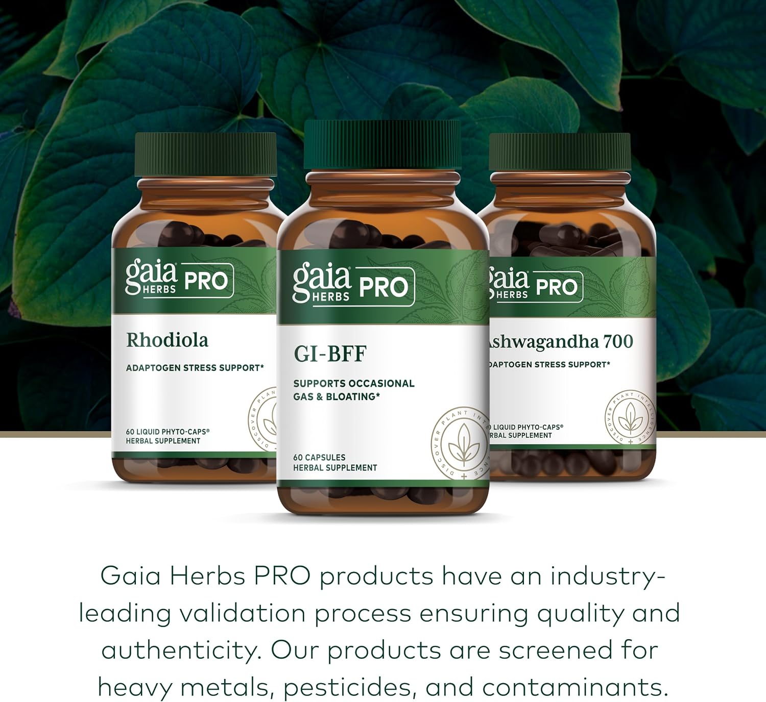 Gaia Herbs PRO GI-BFF – Digestive Health Support with Organic Fennel & Cinnamon Bark – 60 Capsules - görsel 6