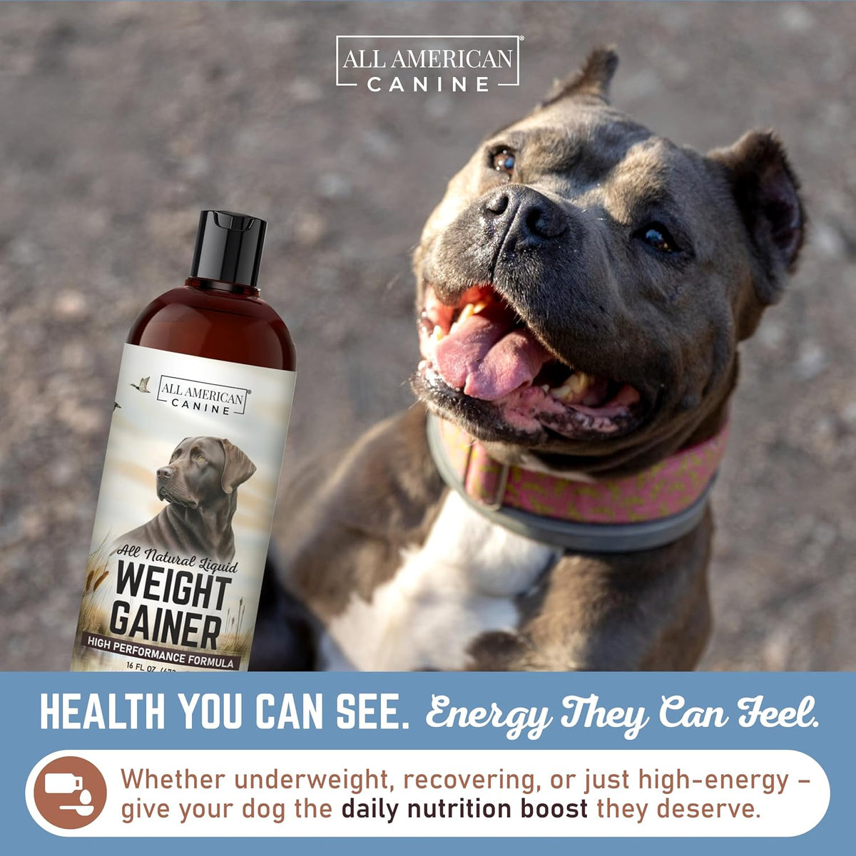 All American Canine Dog Weight Gainer Liquid – High Calorie Dog Food Supplement for Rapid Weight Gain, Mass, and Recovery – Appetite Stimulant (473 ml) - görsel 4