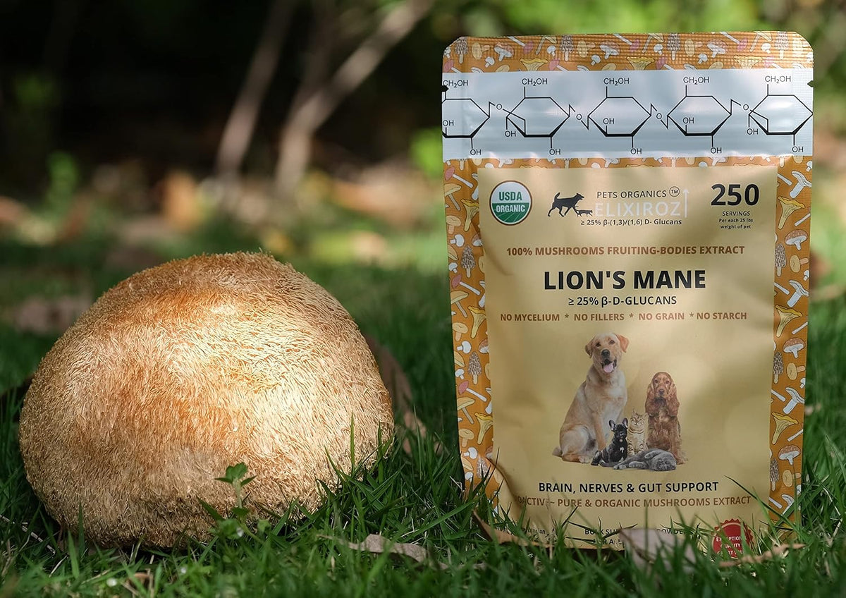 PETS ORGANICS ELIXIROZ Lion's Mane Mushroom Extract for Dogs and Cats – 25% Beta Glucans – Fruiting Body Concentrate – 250 Servings - görsel 3