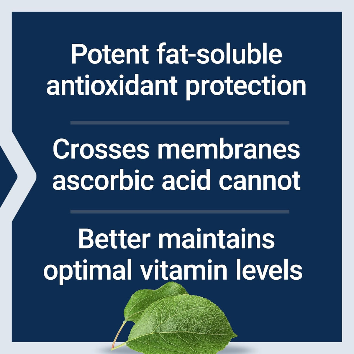 Life Extension Ascorbyl Palmitate 500mg – Fat-Soluble Vitamin C Food Supplement – 100 Capsules - görsel 4