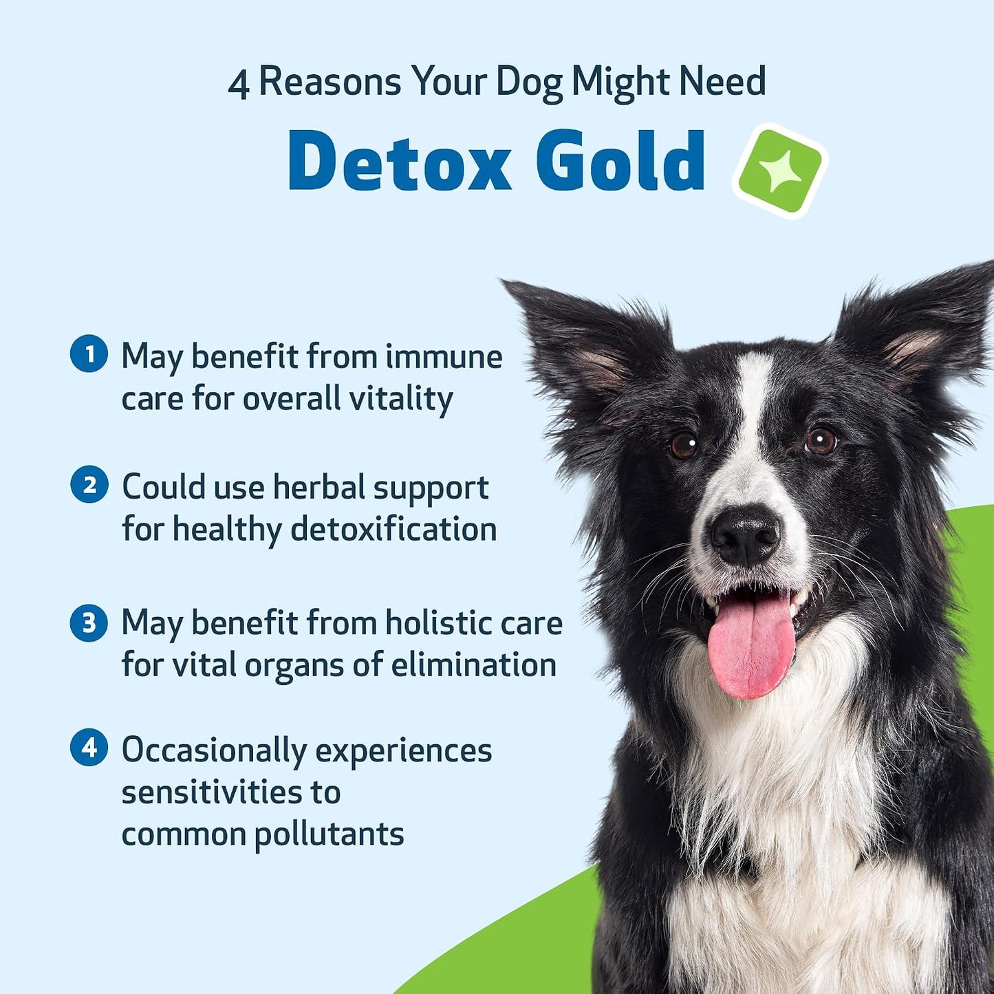 Pet Wellbeing Detox Gold for Dogs – Gentle Cleansing & Immune Support, Veterinary-Formulated Herbal Supplement (60 ml) - görsel 3