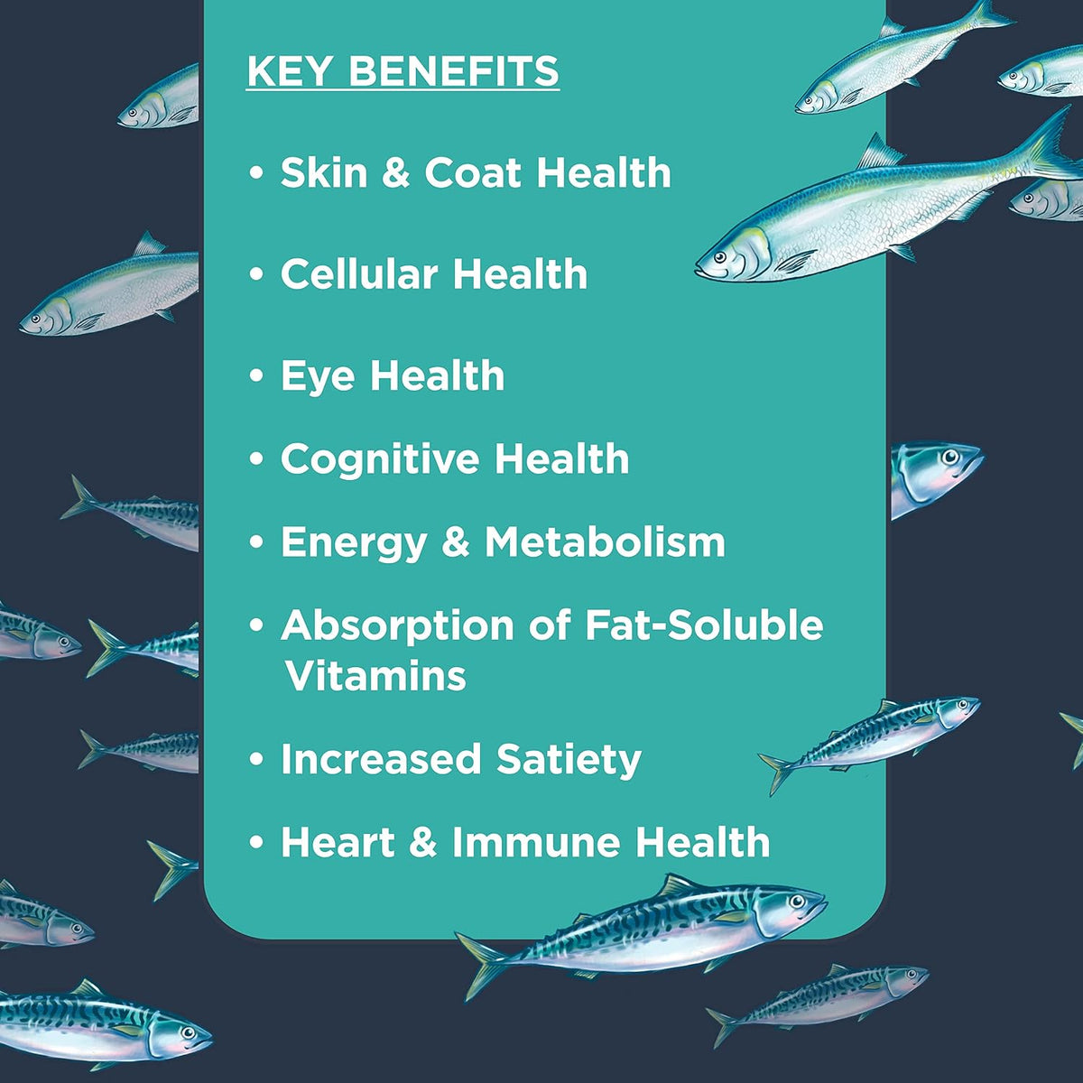 Nulo Omega 3-6-9 Fish Oil for Dogs and Puppies, Supports Skin & Coat Health, Joint Health, Heart Health, 473 ml - görsel 5