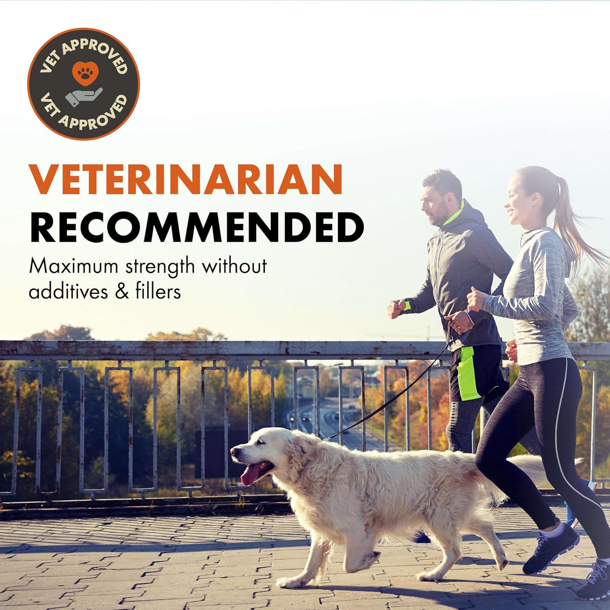 Balance Probiotic Blend for Dogs by Alpha Dog Nutrition - görsel 2
