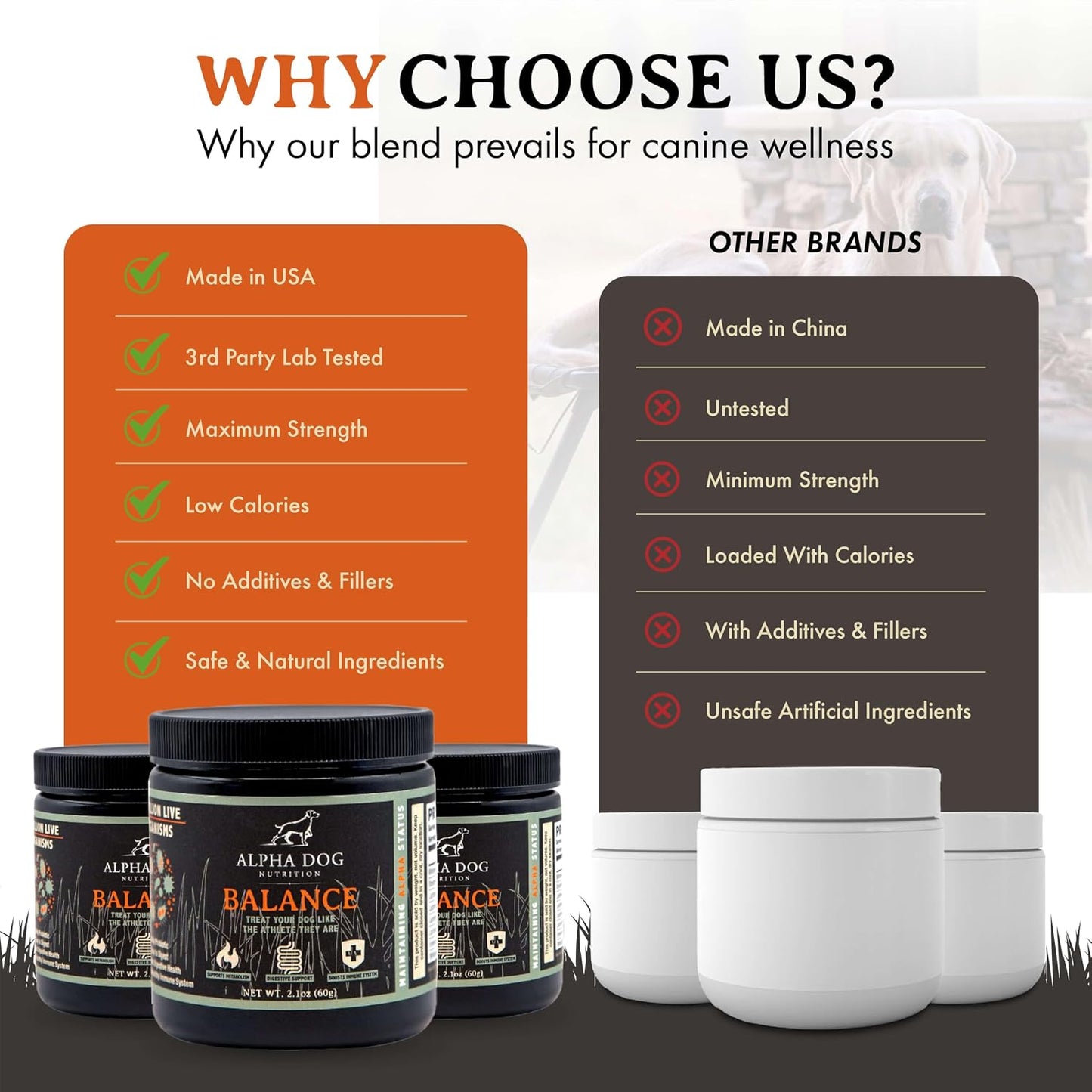 Balance Probiotic Blend for Dogs by Alpha Dog Nutrition - görsel 7