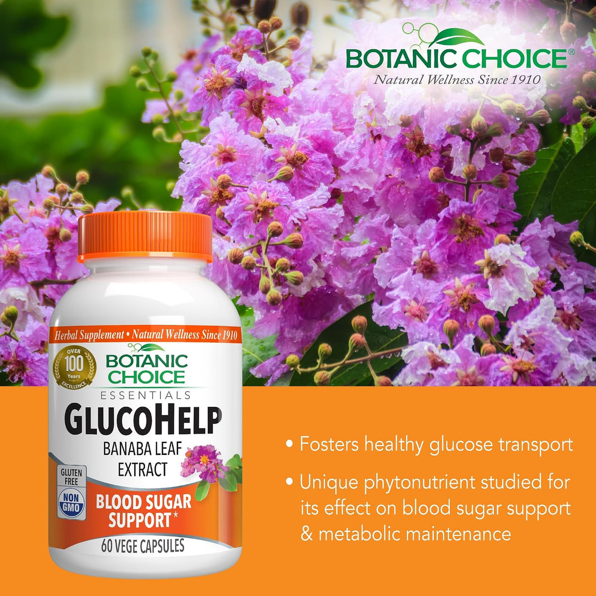 Botanic Choice Gluco Help Banaba Leaf Extract – Gluten-Free, Non-GMO, 60 Capsules - görsel 4