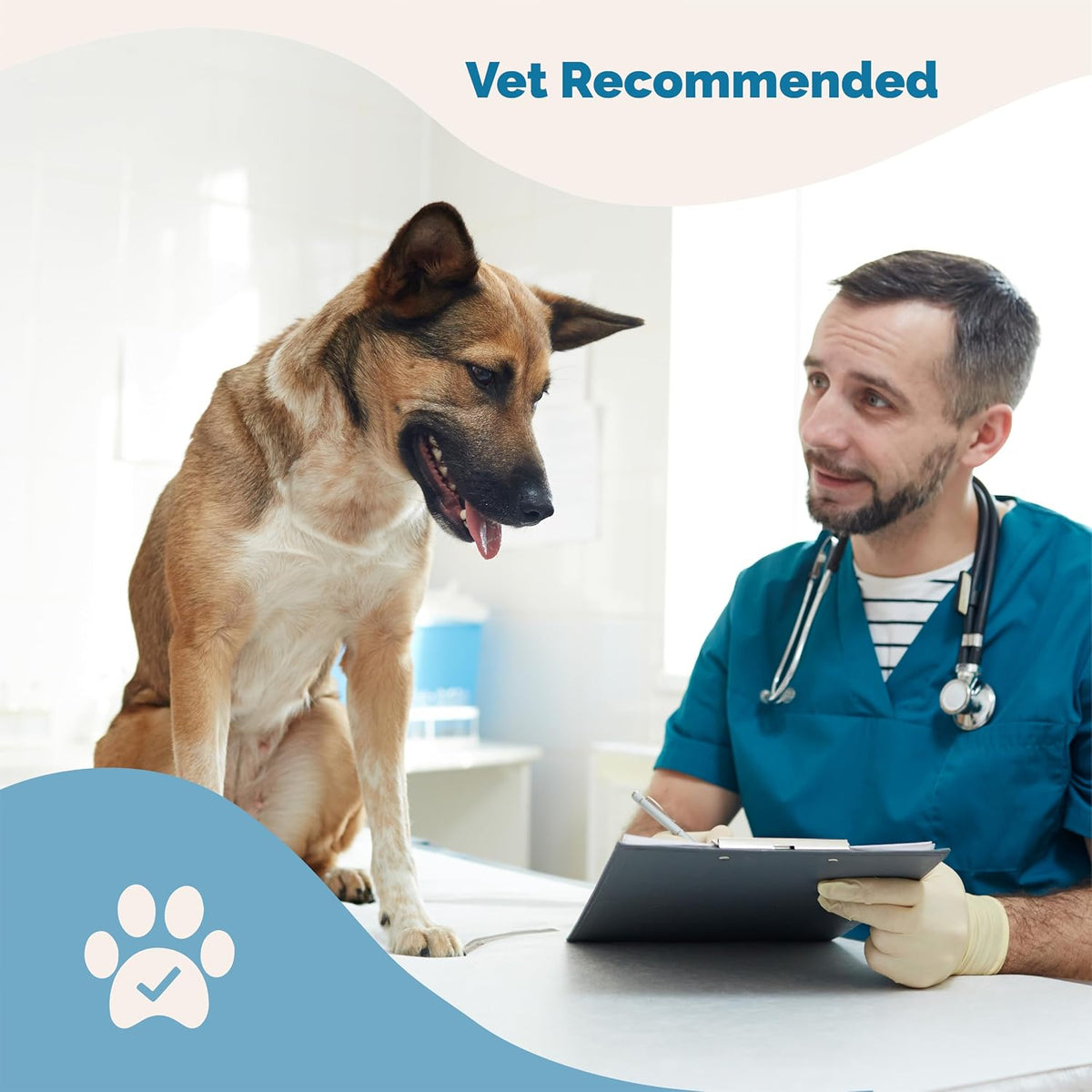PranaPets Cold Symptom Support for Cats & Dogs - görsel 8