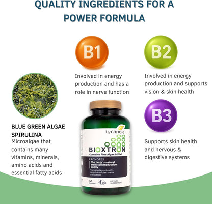 Bioxtron Natural Stem Cell Food Supplement Gummies (60 Gummies)