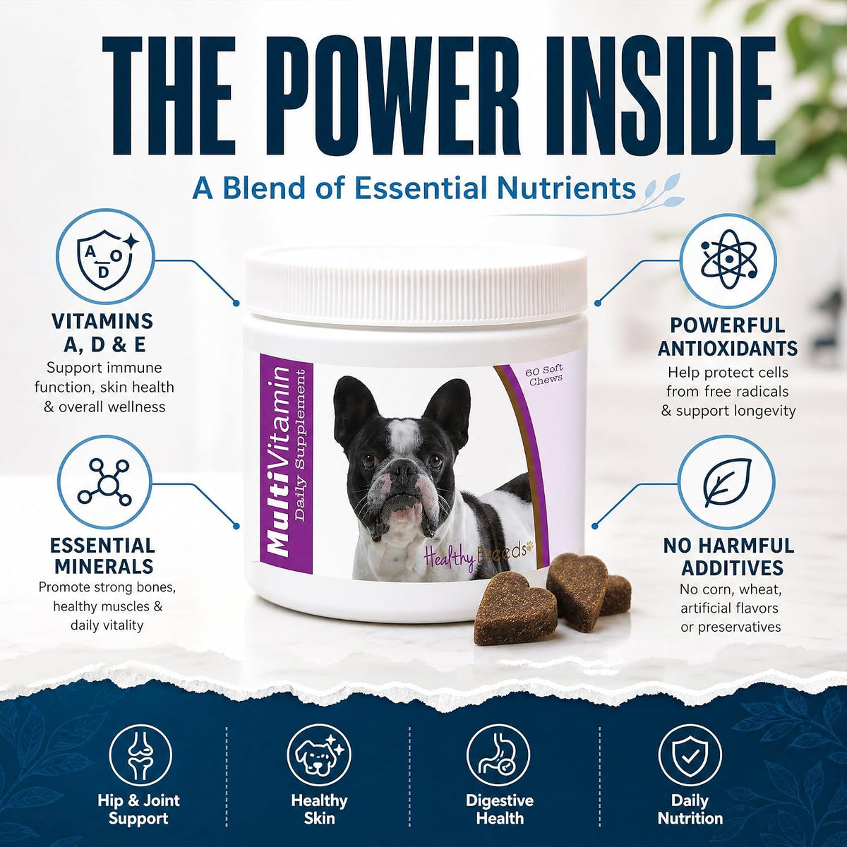 Healthy Breeds French Bulldog Multivitamin Soft Chews 60 Chews - görsel 4