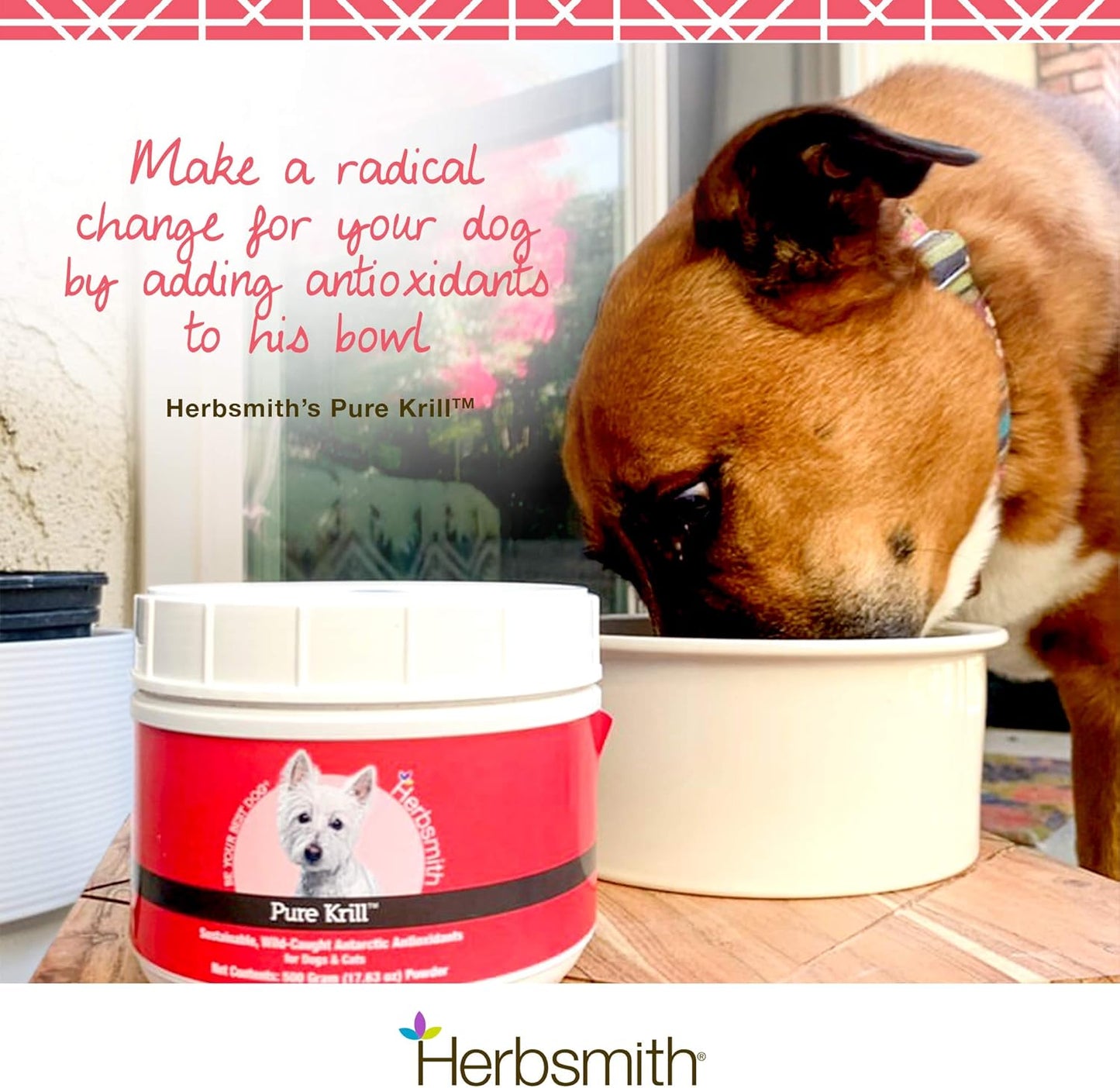 Herbsmith Pure Krill - Wild-Caught Antarctic Krill - Single Ingredient - Astaxanthin for Dogs - Ready-to-Uses Omega 3s - 150g - görsel 9