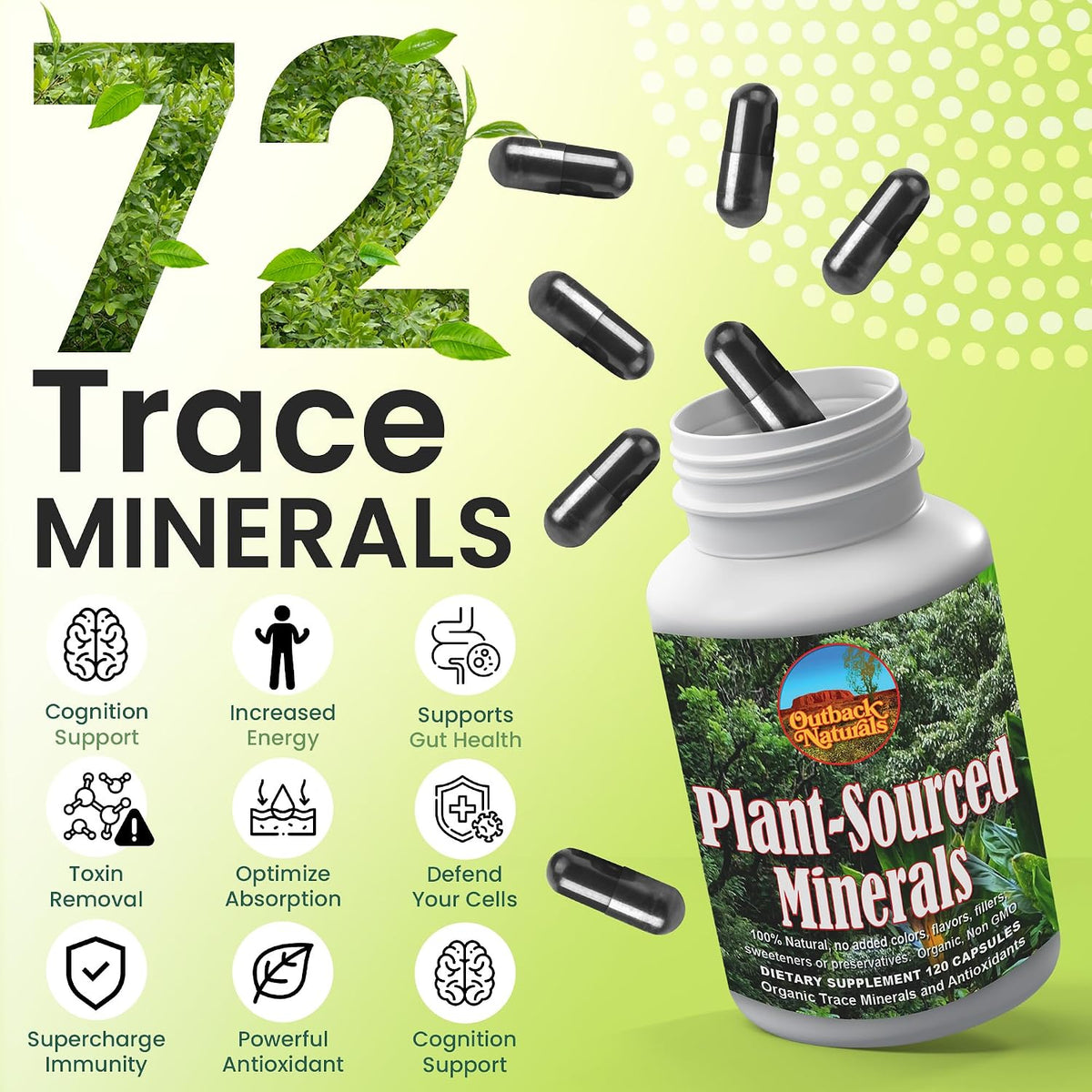 Outback Naturals Fulvic Humic Mineral Blend - Plant-Sourced Trace Minerals with Electrolytes for Cognitive & Immune Support - 120 Capsules - görsel 2