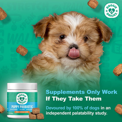 Doggie Dailies Puppy Probiotic with Digestive Enzymes – Pumpkin Flavour, 120 Soft Chews