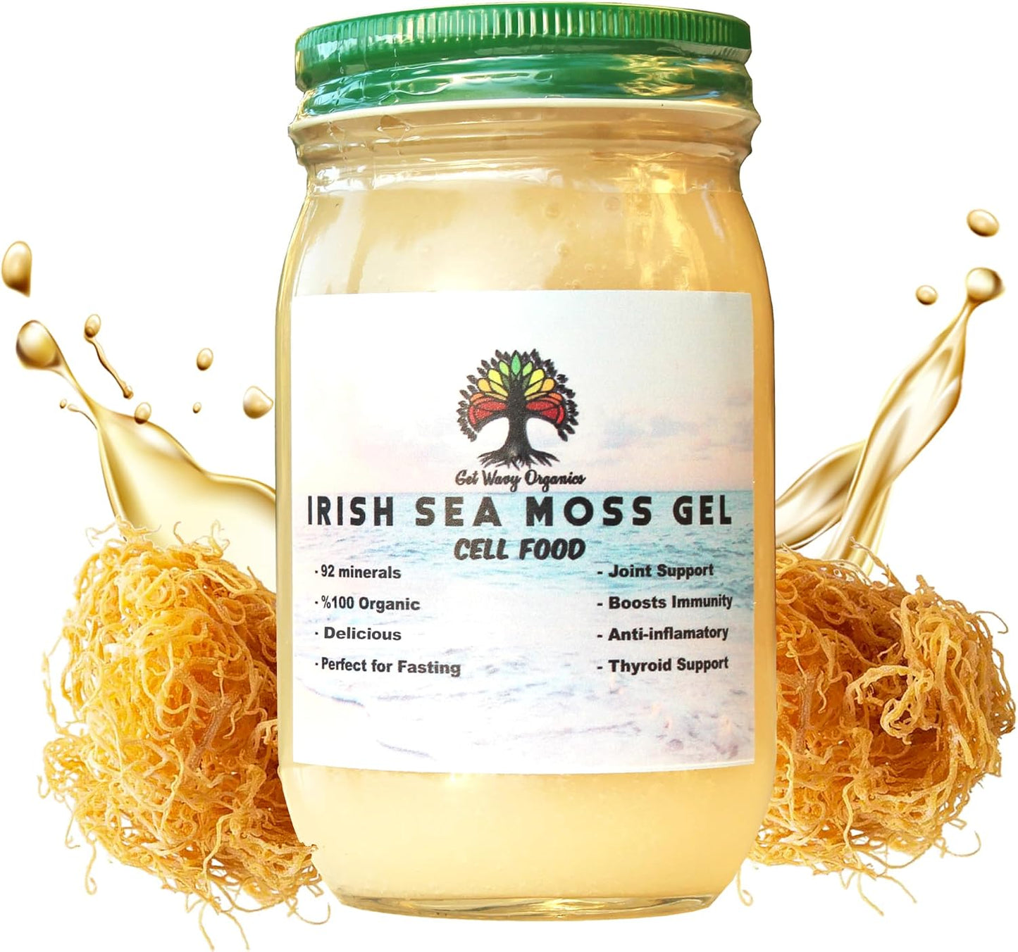 GET WAVY ORGANICS Wildcrafted Irish Sea Moss Gel – Vegan Superfood with 92+ Minerals – Plain (1 Pack) - görsel 1