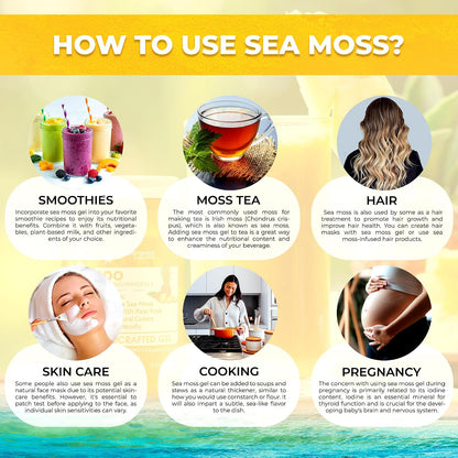 WELLNESS LABSRX Irish Sea Moss Gel - Wildcrafted Superfood Pineapple Flavour - 283g