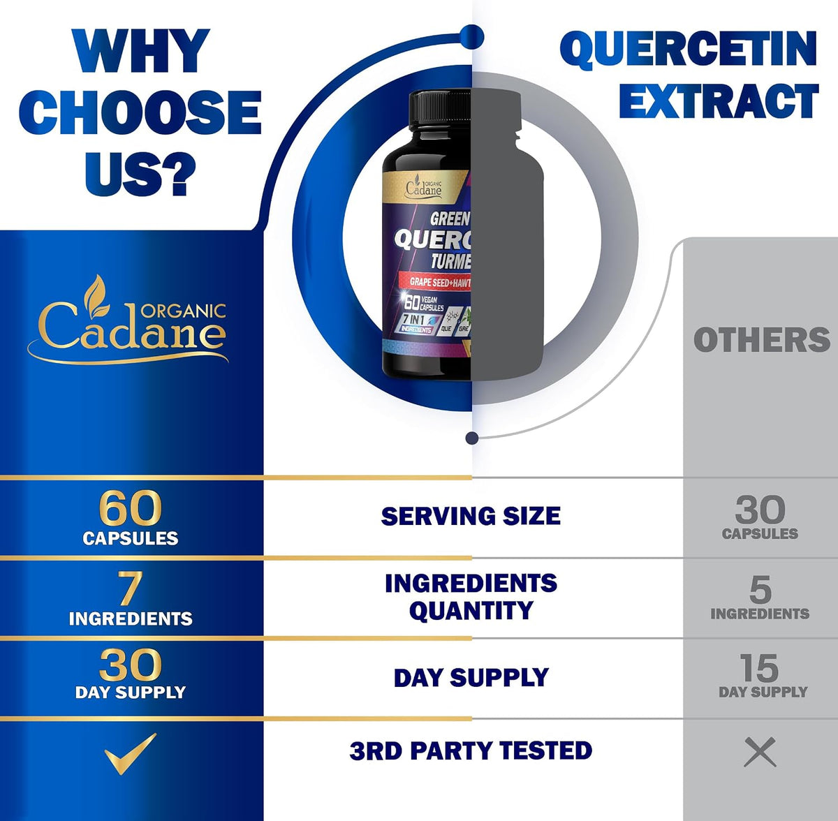 Organic Cadane Quercetin Supplements - 60 Superfood Capsules - görsel 8