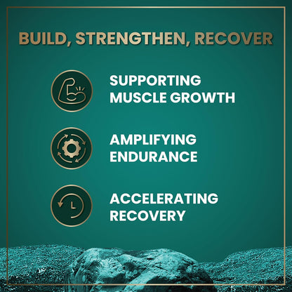 Wild Fuel HMB and Vitamin D3 Supplement Capsules - Beta-Hydroxy Beta-Methylbutyrate 1,000-3,000 mg HMB Supplements with Vitamin D3 - Muscle Function, Performance, Pre-Workout, Recovery - 360 Caps