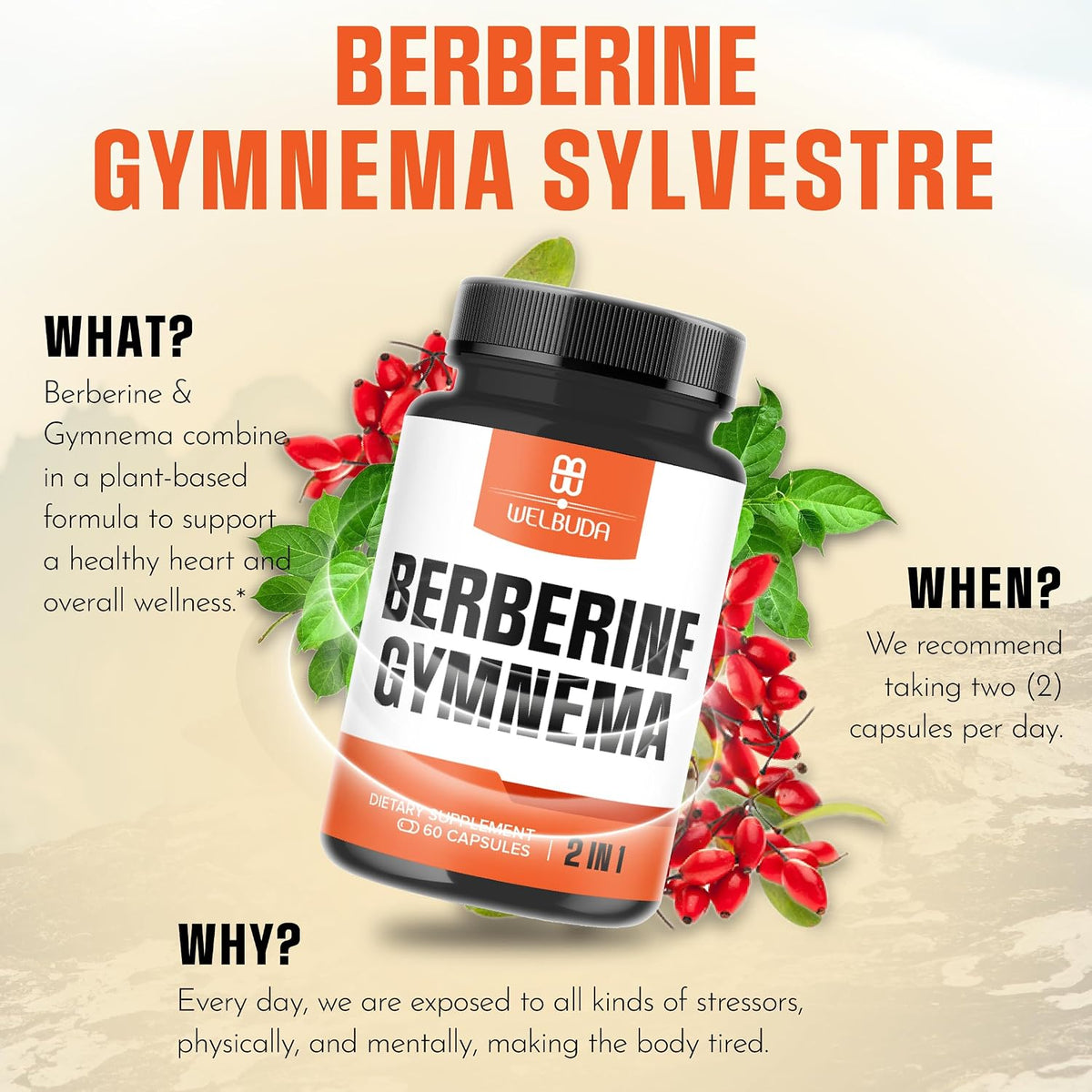 WELBUDA Berberine Food Supplement with Organic Gymnema Sylvestre Leaf - 60 Capsules - görsel 5