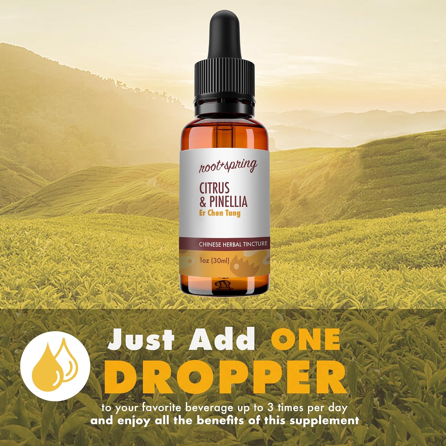 root + spring Citrus & Pinellia Herbal Tincture – Er Chen Tang Liquid Extract with Dropper, 30 ml - görsel 3