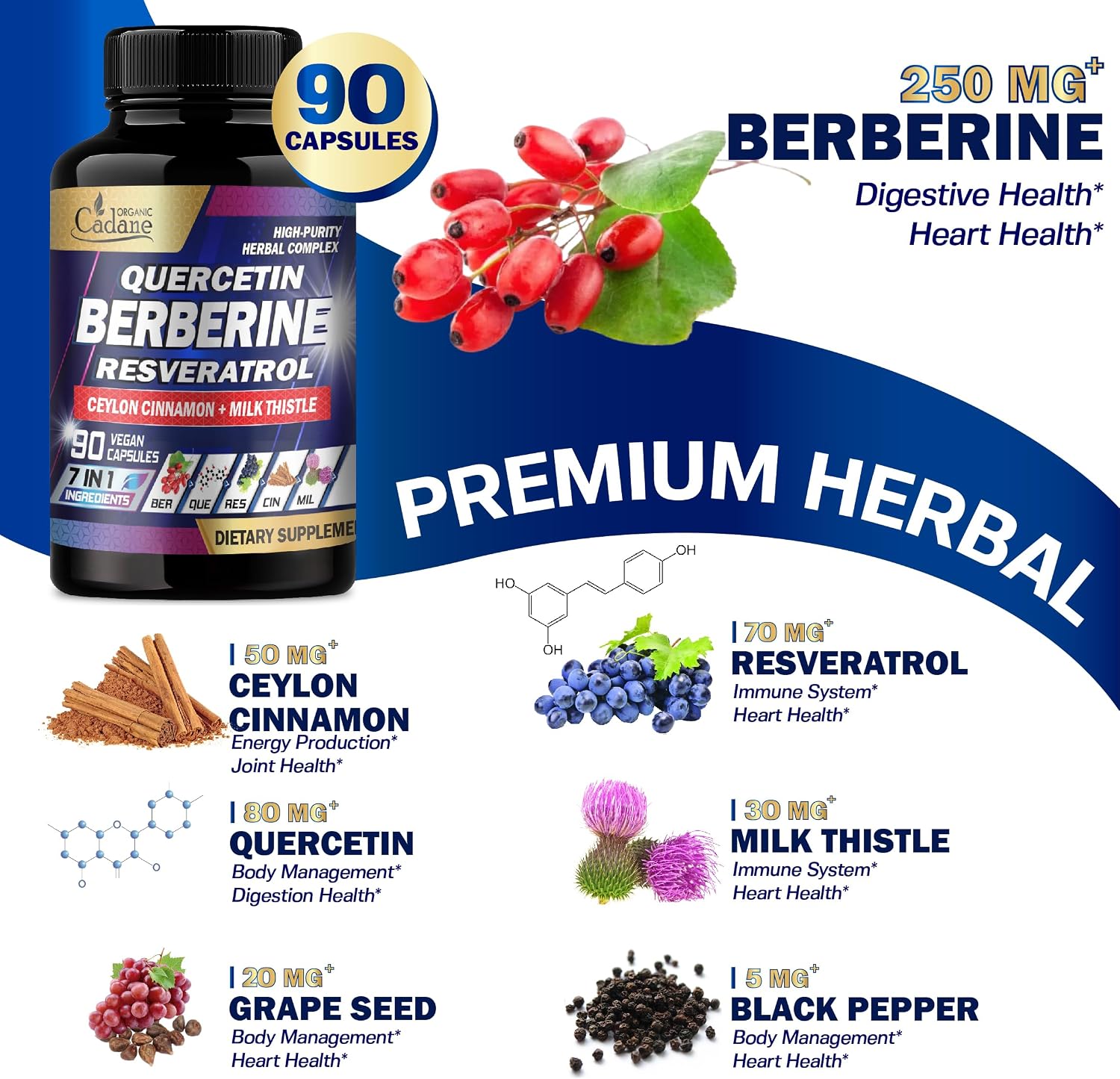 Organic Cadane 7in1 Pure Berberine Supplement with Quercetin, Ceylon Cinnamon, Resveratrol, Milk Thistle, Grape Seed & Black Pepper - 90 Capsules - görsel 6