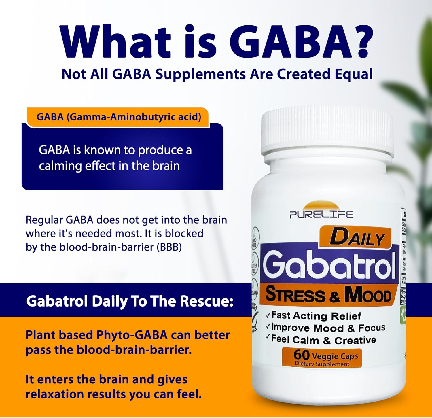 Gabatrol Daily – Plant Based GABA Supplement with Phyto-GABA, 60 Veggie Capsules - görsel 3