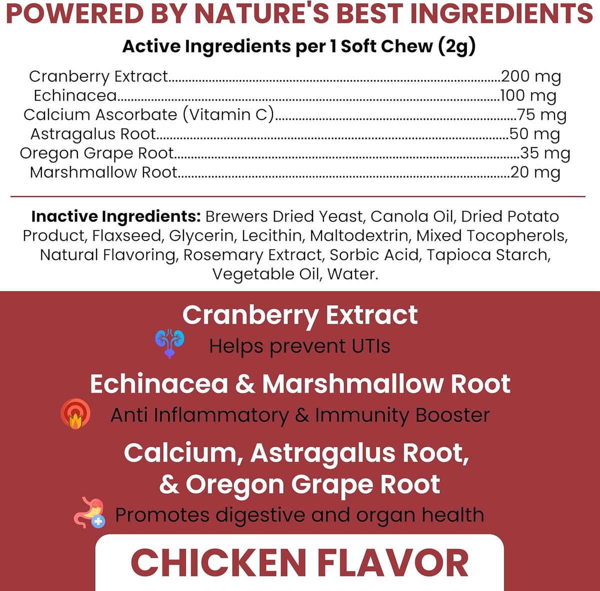 Chew + Heal Labs Cranberry Supplement for Dogs – Urinary Support, 120 Soft Chews - görsel 2