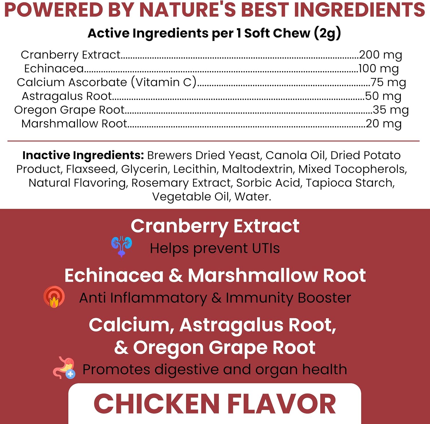 Dog UTI Cranberry Supplement for Dogs, 240 Soft Chews - Natural Urinary Support with Echinacea and Vitamin C (2 Packs of 120) - görsel 2