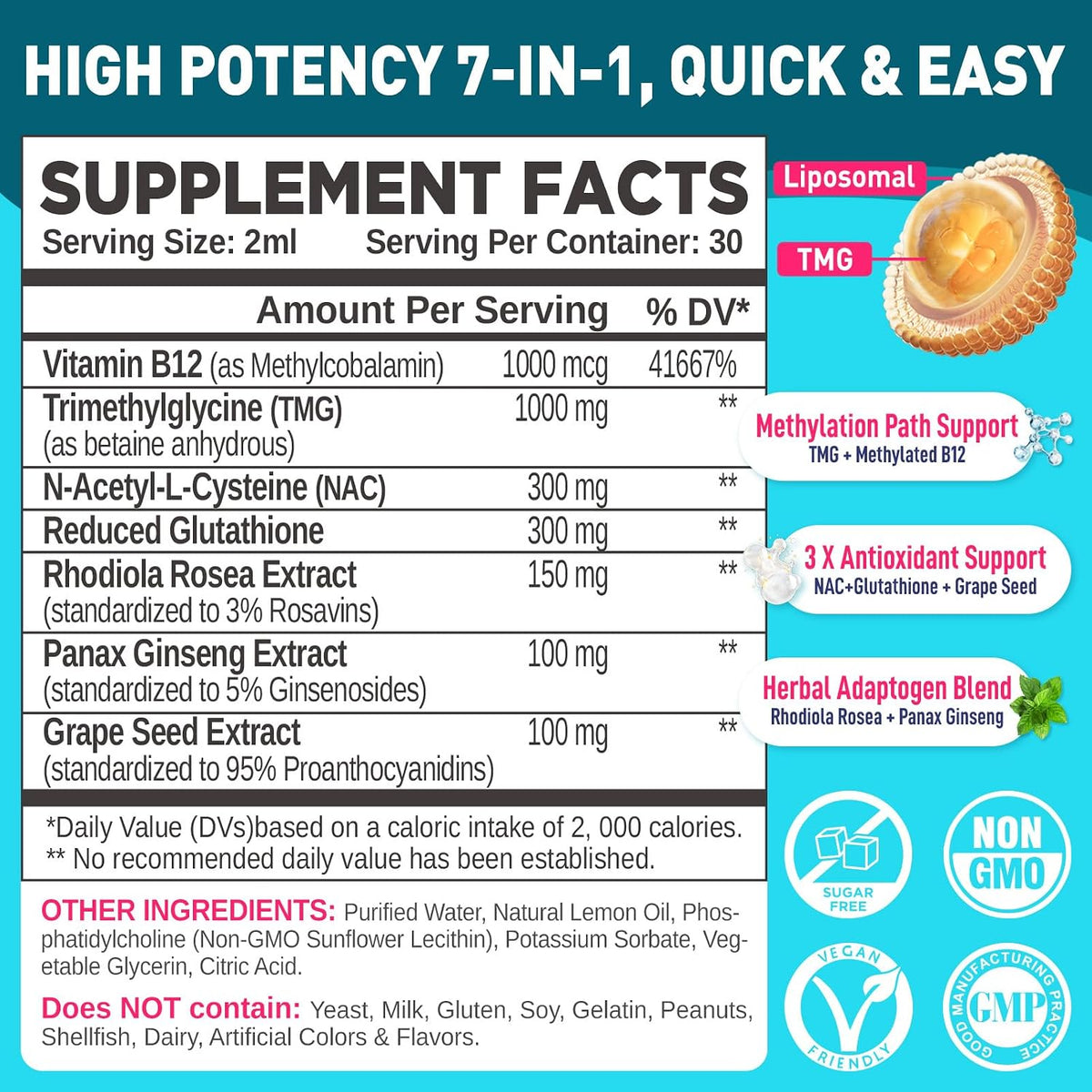 HOLLEGEND Liposomal TMG Supplement Liquid Drops - 1000 mg Trimethylglycine (Betaine Anhydrous) for Methylation Support - Non-GM, Vegan, Blueberry Flavour - 60 ml - görsel 2