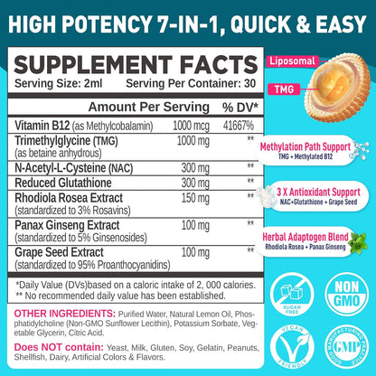 HOLLEGEND Liposomal TMG Supplement Liquid Drops - 1000 mg Trimethylglycine (Betaine Anhydrous) for Methylation Support - Non-GM, Vegan, Blueberry Flavour - 60 ml