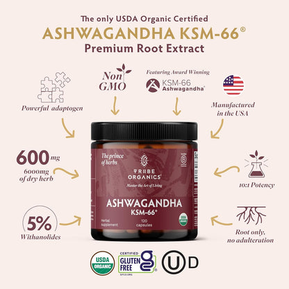 TRIBE ORGANICS Ashwagandha KSM-66 – 600mg Organic Root Extract, 120 Capsules