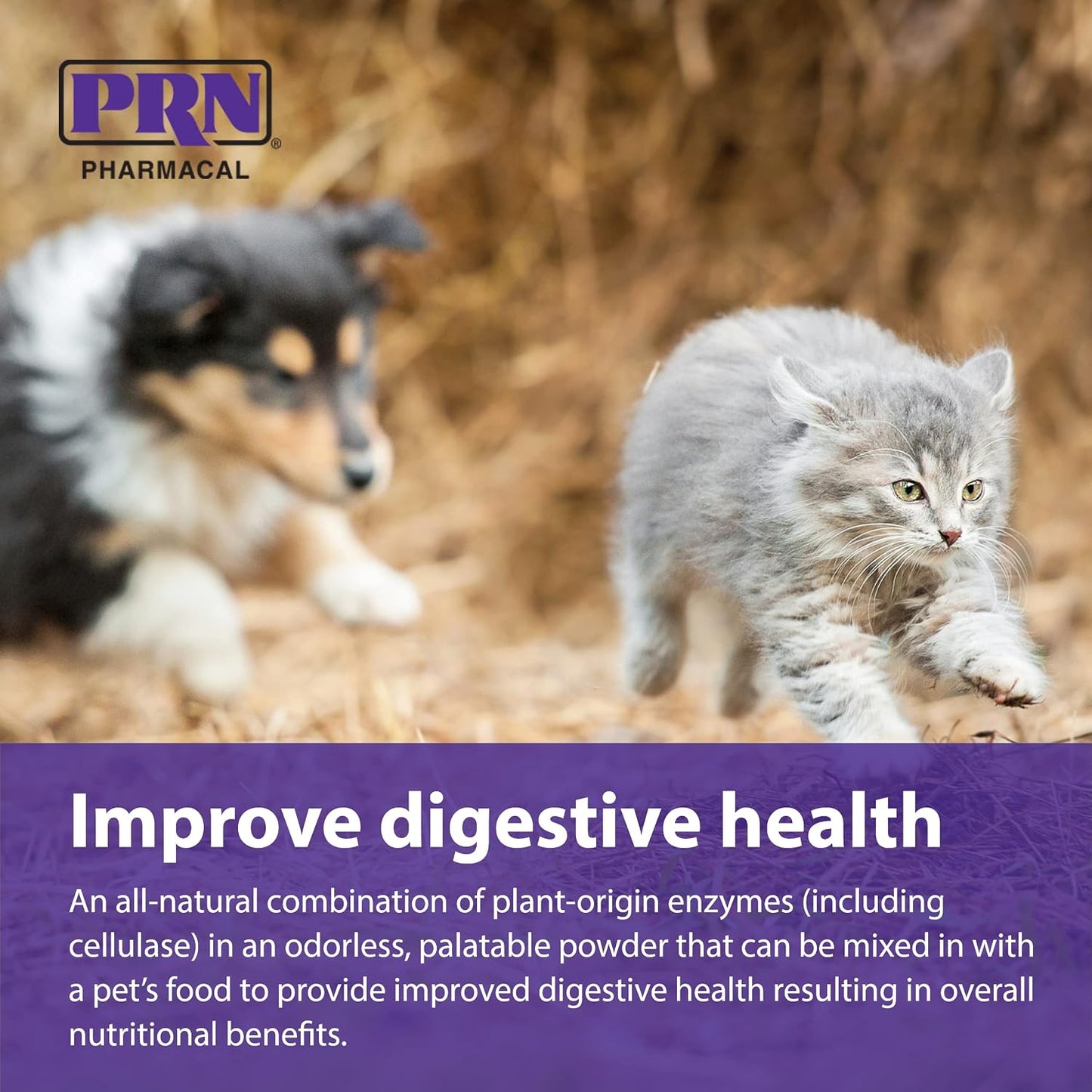 PRN Pharmacal ProZyme Enzyme Replacement Supplement - Natural Digestive Aid for Dogs & Cats - 85g - görsel 5