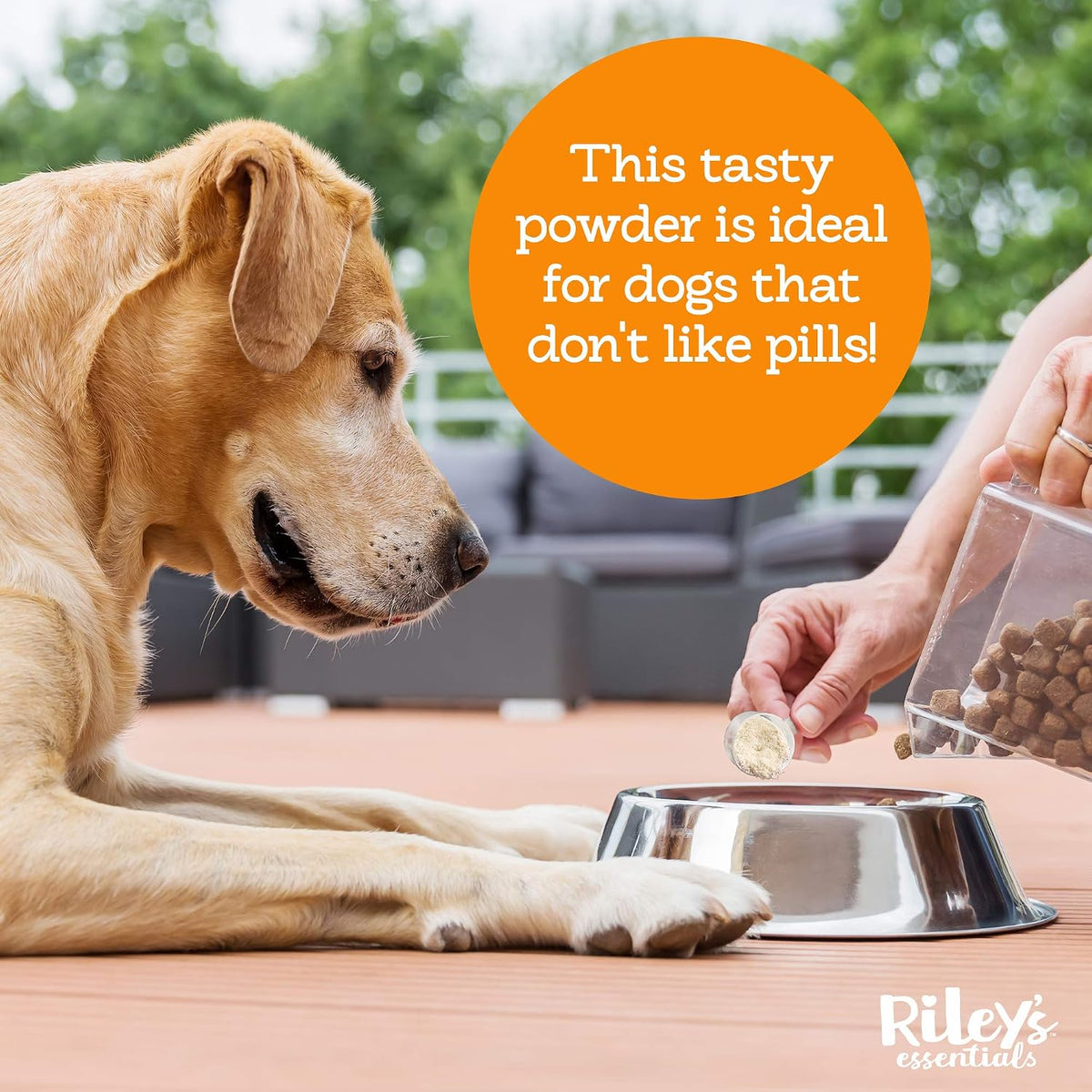 Riley's Multi-Essentials Multivitamin for Dogs - Vitamins, Minerals, Spirulina, Kelp, and Milk Thistle - Puppy and Senior Dog Vitamins - 227g Powder - görsel 4