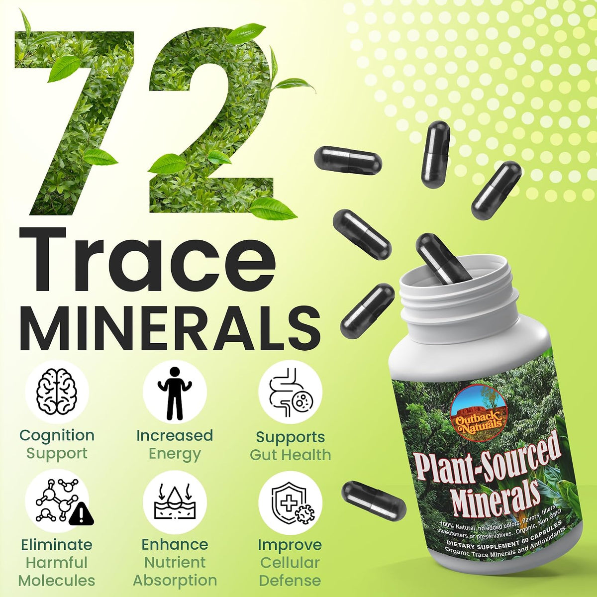Plant-Sourced Minerals – 60 Capsules - görsel 2